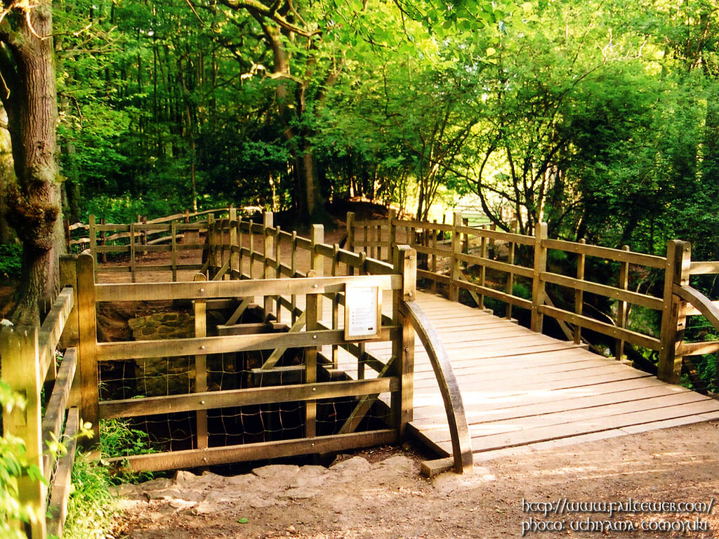 Poohsticks Bridge WALLPAPER