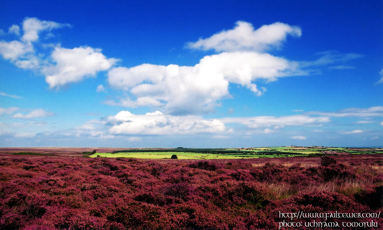 North York Moors WALLPAPER