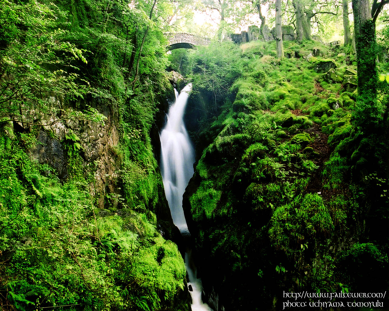 Aira Force WALLPAPER