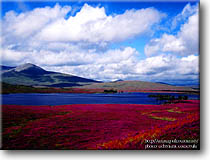 Rannoch Moor