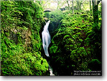 Aira Force